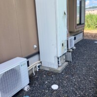 ライズカンパニー