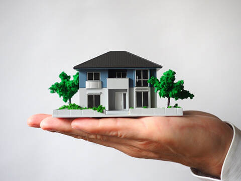 ライズカンパニー