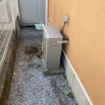 ライズカンパニー