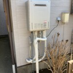 ライズカンパニー