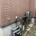 ライズカンパニー