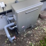 ライズカンパニー