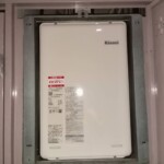 ライズカンパニー