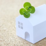 ライズカンパニー