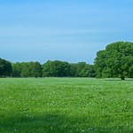 ライズカンパニー